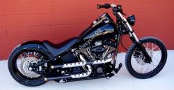 Harley-Davidson Softail Custom 1998 #9