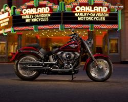 Harley-Davidson Softail Fat Boy 2013 #13