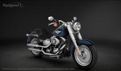 Harley-Davidson Softail Fat Boy Special 2013 #7