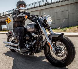 Harley-Davidson Softail Slim 2014 #10