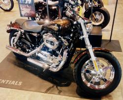 Harley-Davidson Sporster 1200 Custom 2013 #11