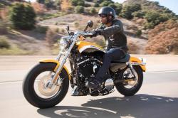 Harley-Davidson Sporster 1200 Custom 2013 #13