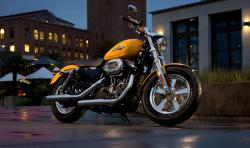 Harley-Davidson Sporster 1200 Custom 2013 #7
