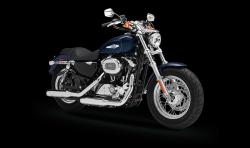 Harley-Davidson Sporster 1200 Custom 2014 #10