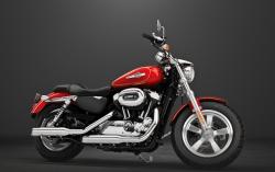 Harley-Davidson Sporster 1200 Custom 2014 #11