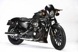 Harley-Davidson Sportster Iron 883 Dark Custom 2013 #9