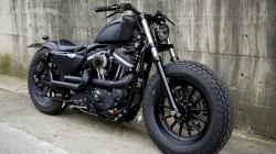 Harley-Davidson Sportster Iron 883 Dark Custom 2014 #11