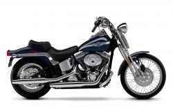 Harley-Davidson Springer Softail #2