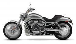Harley-Davidson VRSCA V-Rod #13