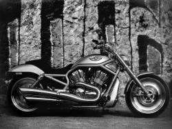 Harley-Davidson VRSCA V-Rod #5