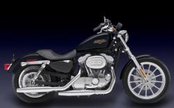 Harley-Davidson XL883C Sportster 883 Custom 2009 #12