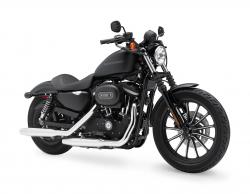 Harley-Davidson XL883C Sportster 883 Custom 2009 #9