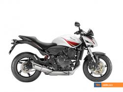 Honda CB600F Hornet 2009