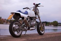 Honda Gorilla 50