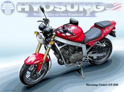 Hyosung GT 250 Naked / GT 250 Comet #14