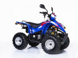 Linhai Monkey Bike 50 GY