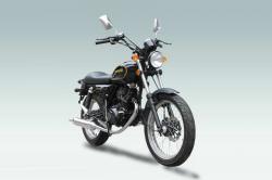 2010 Qingqi Sport QM125-2D