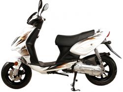 Sachs Saxylight