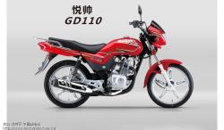 Suzuki GD 110 #10