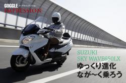 Suzuki Skywave 650 LX #8