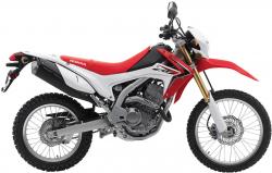 Tank Sports Touring 250 Deluxe #2