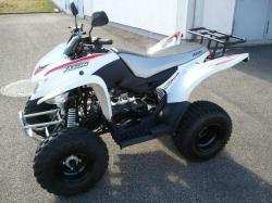 Triumph Cross Minibike