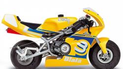 Veli Sport Minibike