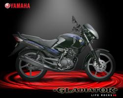 Yamaha Gladiator #8