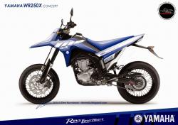 Yamaha WR250X 2014 #10