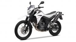 Yamaha XT 660 R 2012 #3