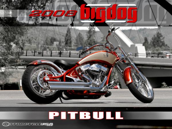2011 Big Dog Pitbull