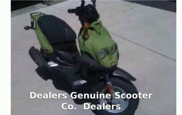 Genuine Scooter Roughhouse R50 2010 #1