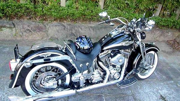 2000 Harley-Davidson FLSTS Heritage Springer
