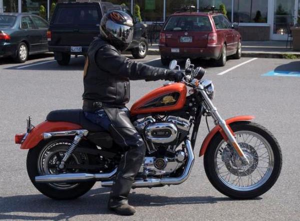 Harley-Davidson XL50 50th Anniversary Sportster #1