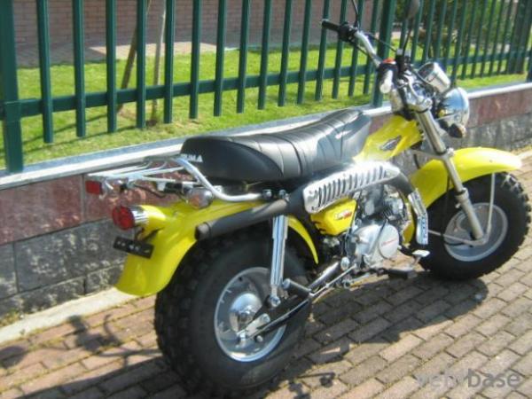 2010 Puma T-Rex 125