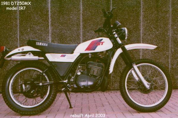 1981 Yamaha DT 250 MX