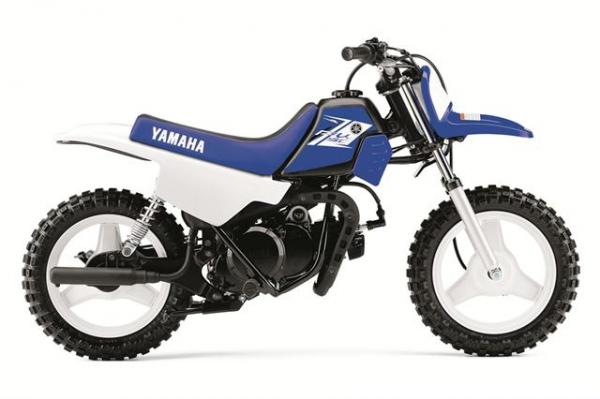 Yamaha PW50 2013 #1